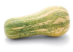 Abobora Pescoço Orgânica – 1kg
