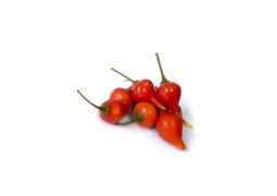 Pimenta Biquinho Orgânica – 150g