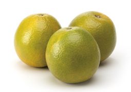 Laranja Pera Orgânica – 500g