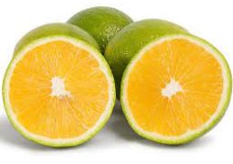 Laranja Seleta Orgânica – 500g