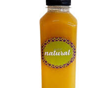 Suco Natural Orgânico – Manga – 300ml