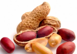 Amendoim Com Casca Orgânico – 1 Litro