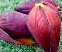 Umbigo De Banana – Unidade